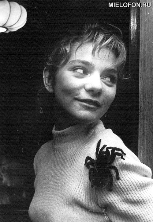 ������ ������ �������